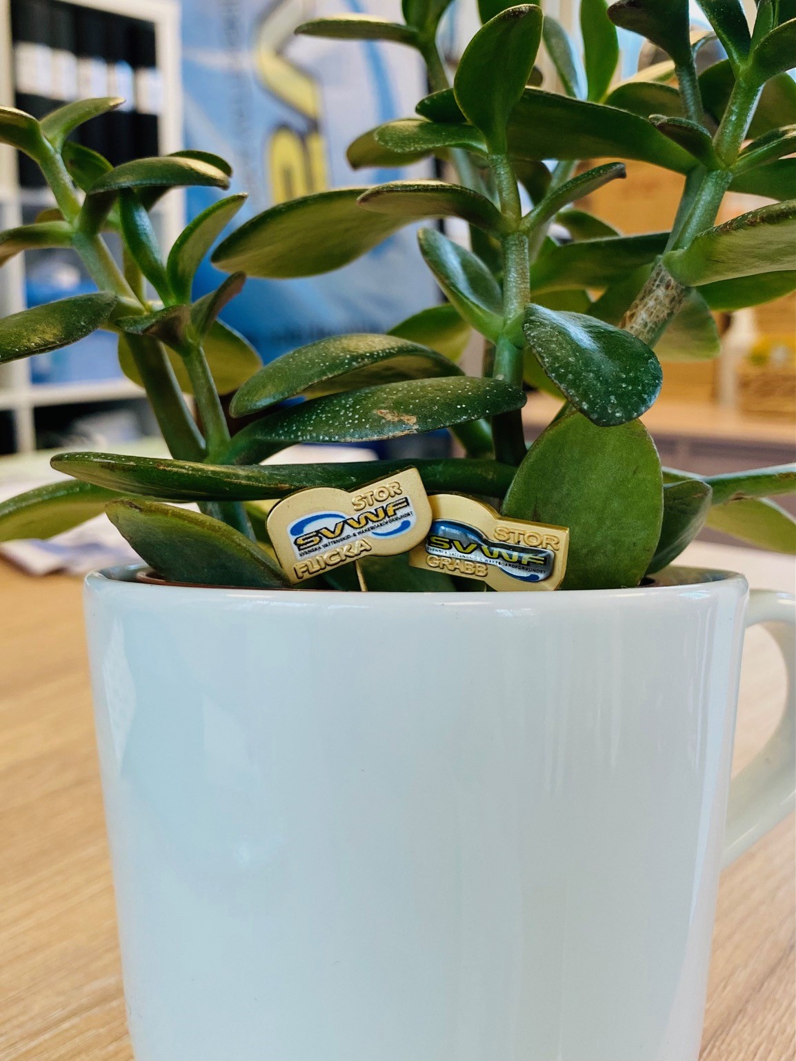 Rapportera dina poäng för utmärkelserna Stor Flicka & Stor Grabb!